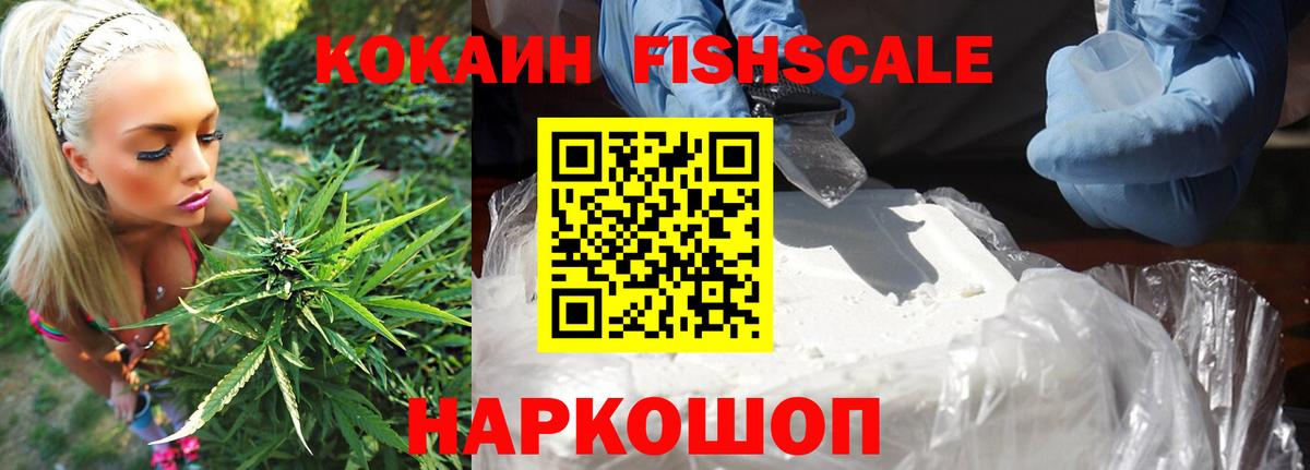 Cocaine Fish Scale  КОКАИН FishScale  Кинешма  Вход с VPN 