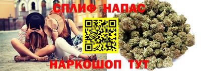 бошки Донской