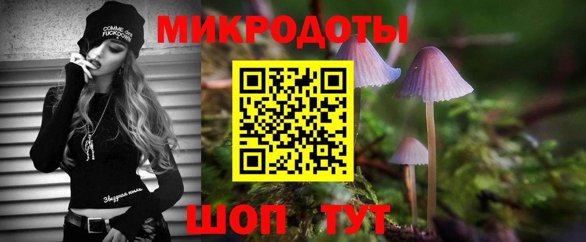 Псилоцибиновые грибы прущие грибы Кинешма