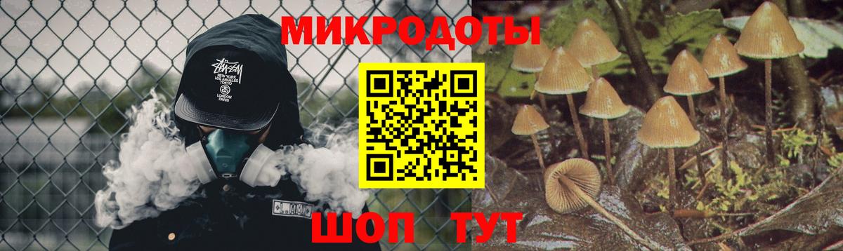 Псилоцибиновые грибы Psilocybe  Вход с VPN  Псилоцибиновые грибы Cubensis  Кинешма 